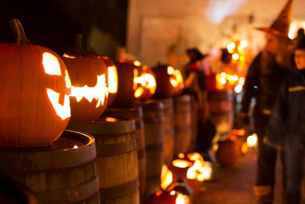 Une série de citrouilles de Halloween, découpés pour Pumpkinferno