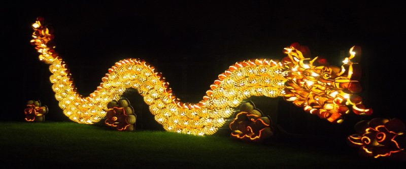 Une sculpture d'un dragon composée de plusieurs citrouilles découpées.
