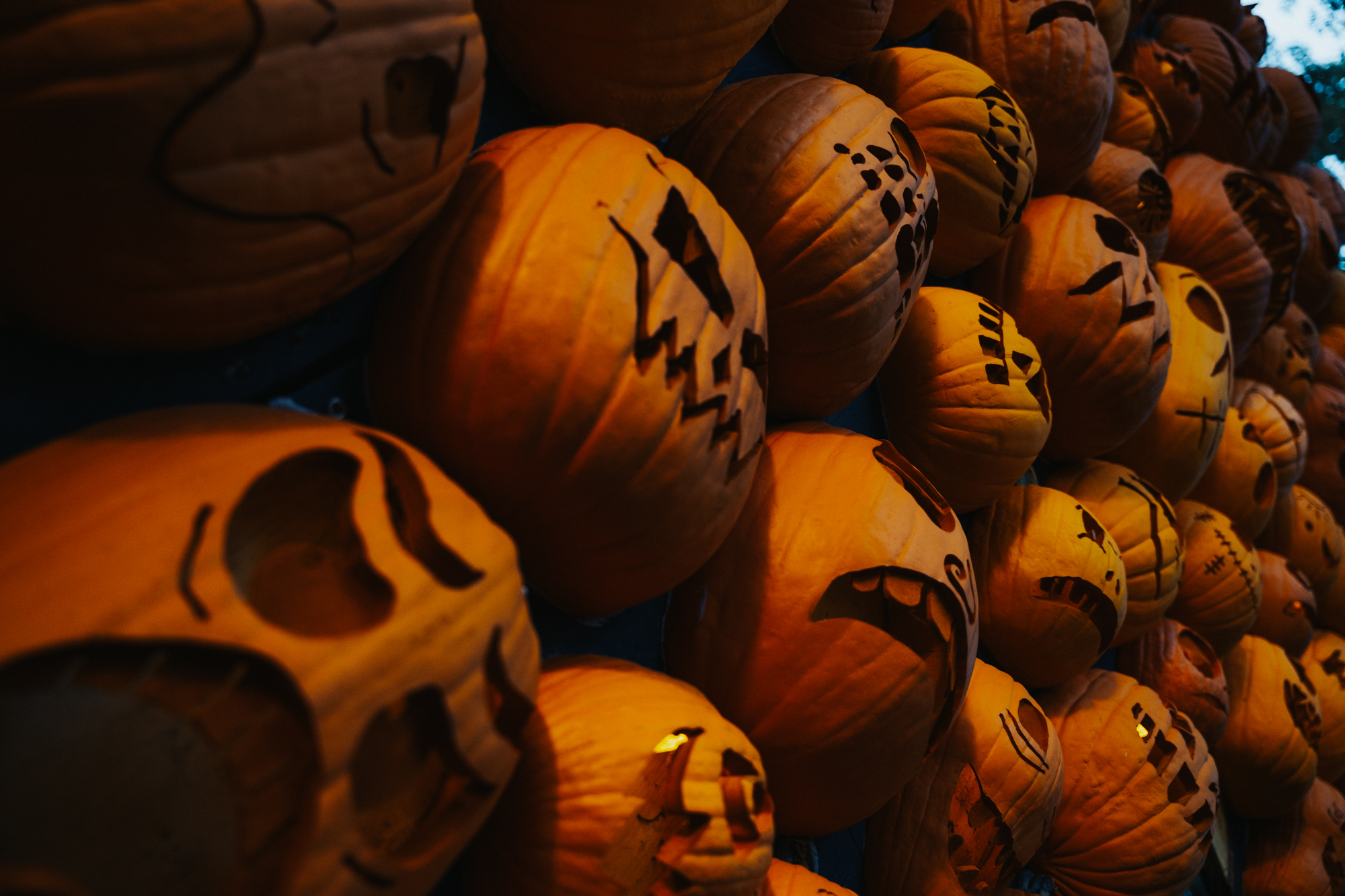 Pumpkins at Pumpkinferno Discovery Harbour