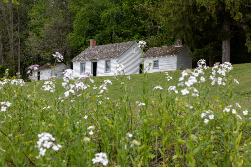 Discovery Harbour spring tours