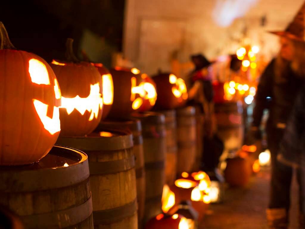 Une série de citrouilles de Halloween, découpés pour Pumpkinferno