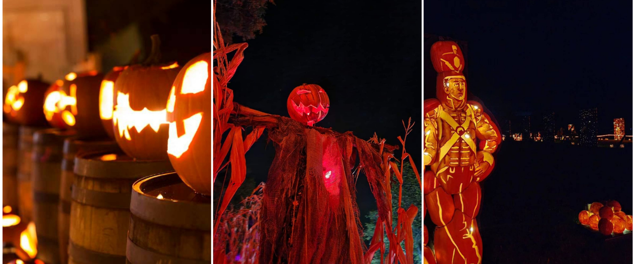 Guest taking a picture of the pumpkin displays at Pumpkinferno