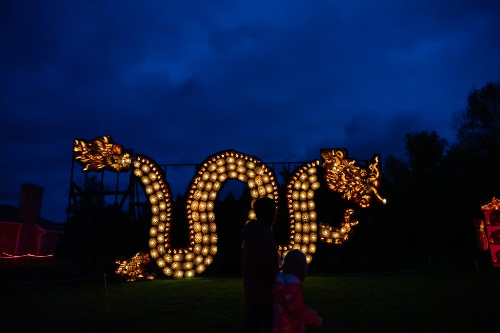 EDCNS_Fall2022_PumpkinfernoEvent_Web-89 People walking by the enormous dragon made of carved pumpkins at Pumpkinferno