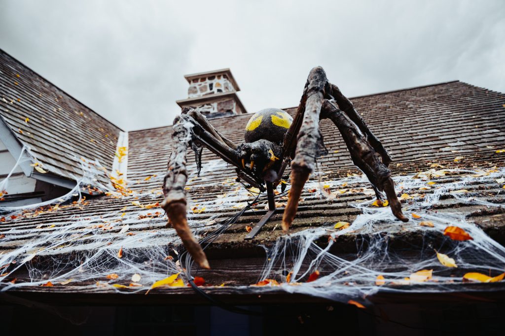 EDCNS_Fall2022_PumpkinfernoEvent_Web-31-1024x682 A giant spider on the roof of a spooky Keating House
